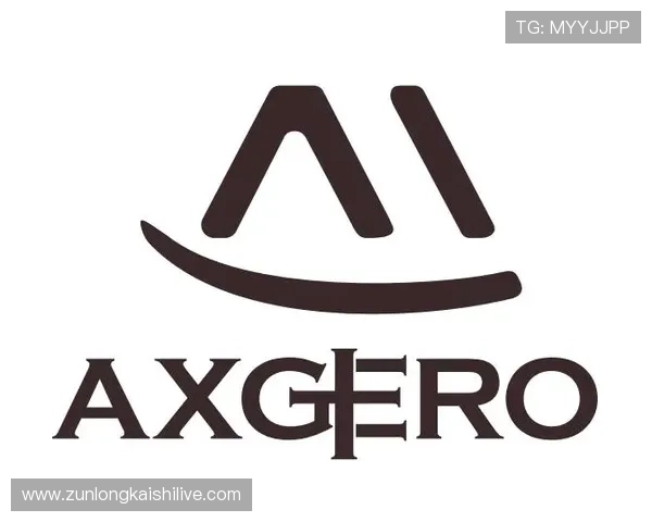 凯时旗舰厅客户端：安全稳定的游戏环境全面介绍