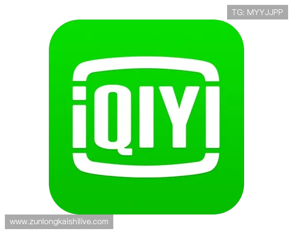 尊龙集团官网入口的安全性解析与用户反馈