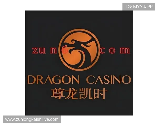 凯时尊龙app官网登录入口在哪避免假冒入口的实用建议