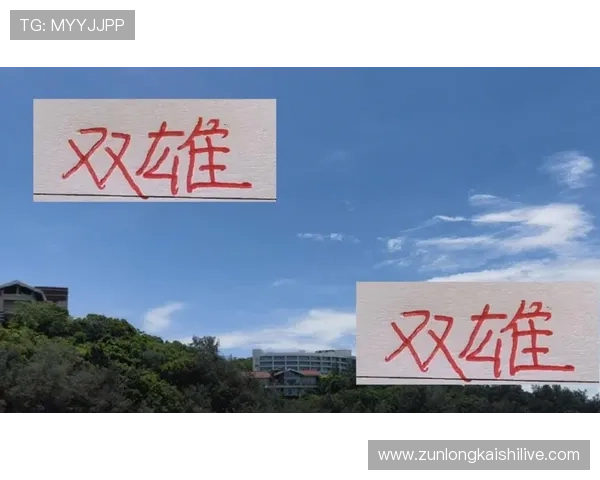 尊龙app官方网站最新版本更新内容的全面分析，揭示升级背后的技术优化和用户体验提升