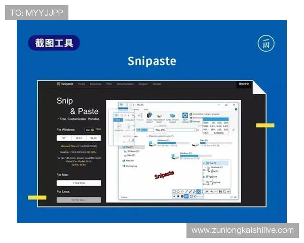 尊龙平台软件最新版本功能介绍与使用指南